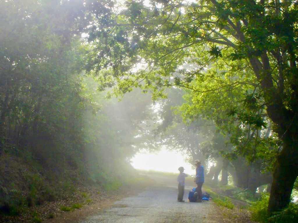 601 カミーノ caminoポルトマリンportmarin 朝日公園へ23