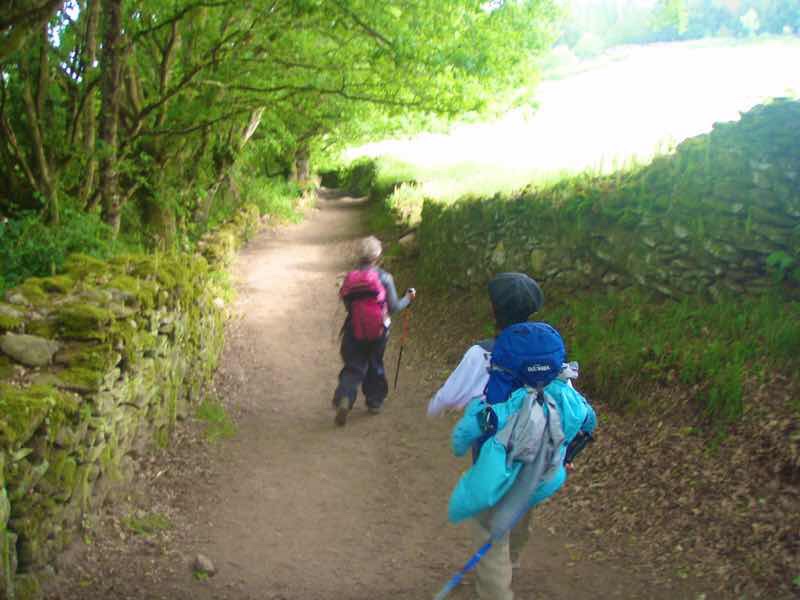 601 カミーノ caminoポルトマリンportmarin に向かう 田舎道 石垣左下り12