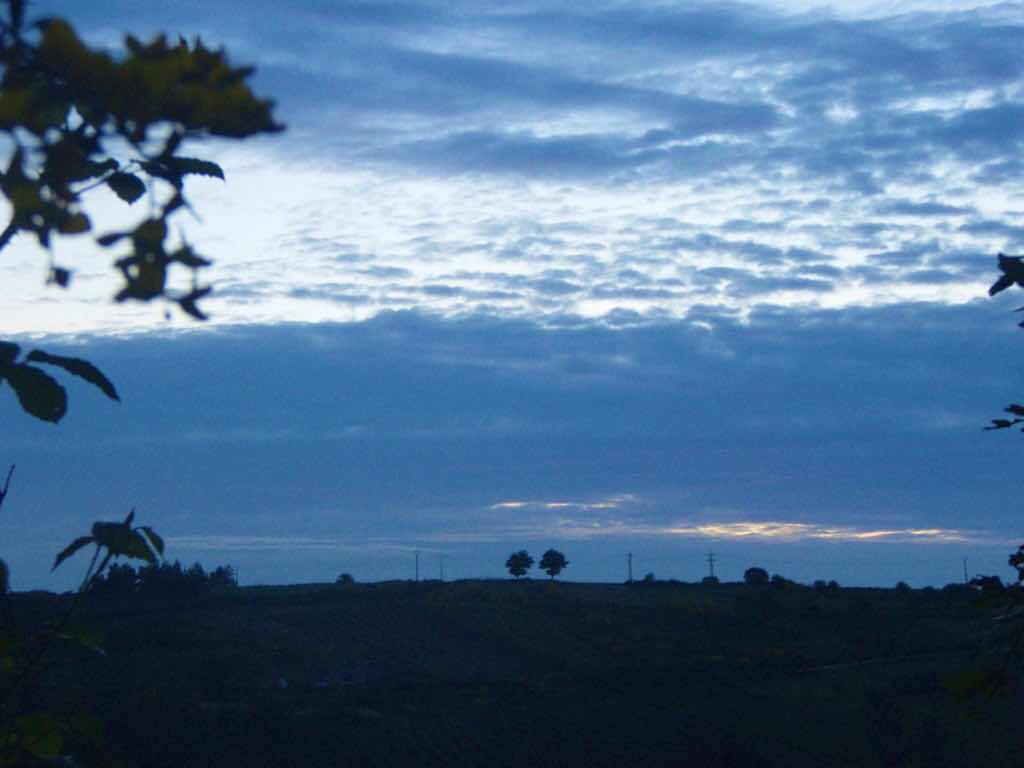 602 Camino カミーノ パラスデレイ papas de rai 向かう ポルトマリン朝焼け 木二本