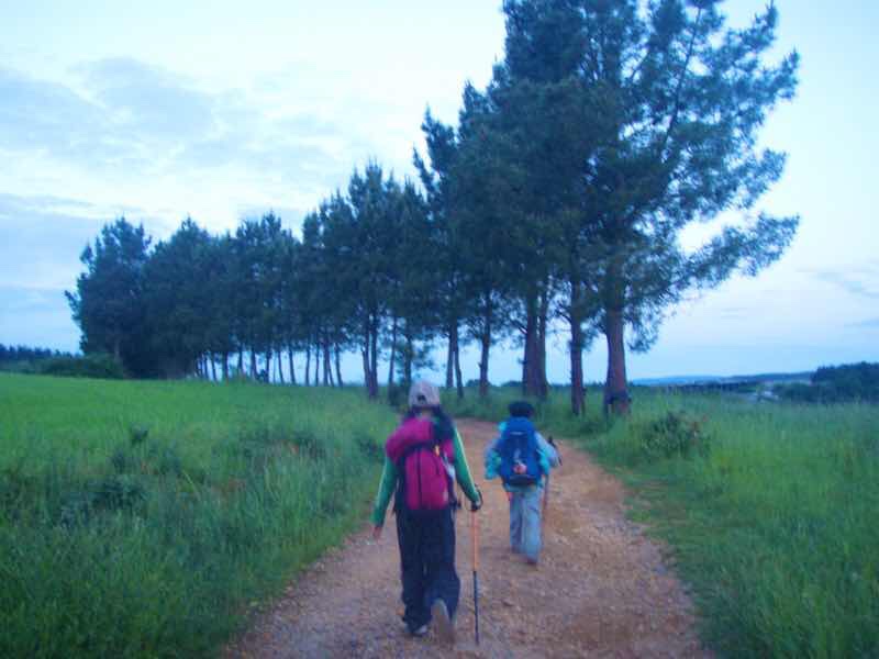 602 Camino カミーノ パラスデレイ papas de rai 向かう 田舎道夜明け12