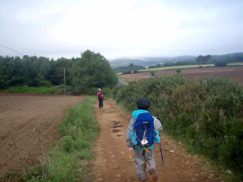 602 Camino カミーノ パラスデレイ papas de rai 向かう 田舎道12一列