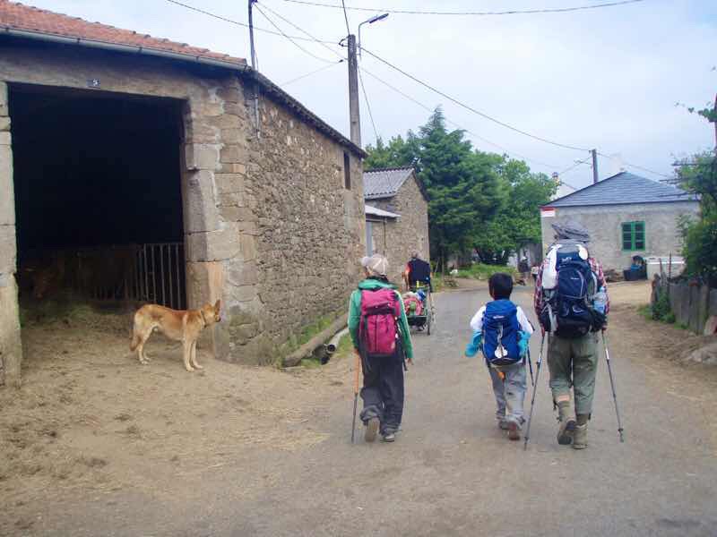 602 Camino カミーノ パラスデレイ papas de rai 向かう 田舎道犬 12n