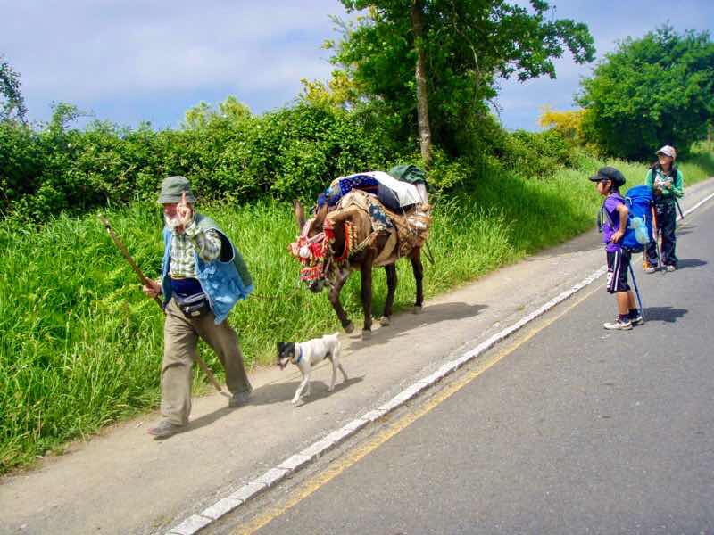 602 Camino カミーノ パラスデレイ papas de rai 向かう 田舎道おじさんとロバ