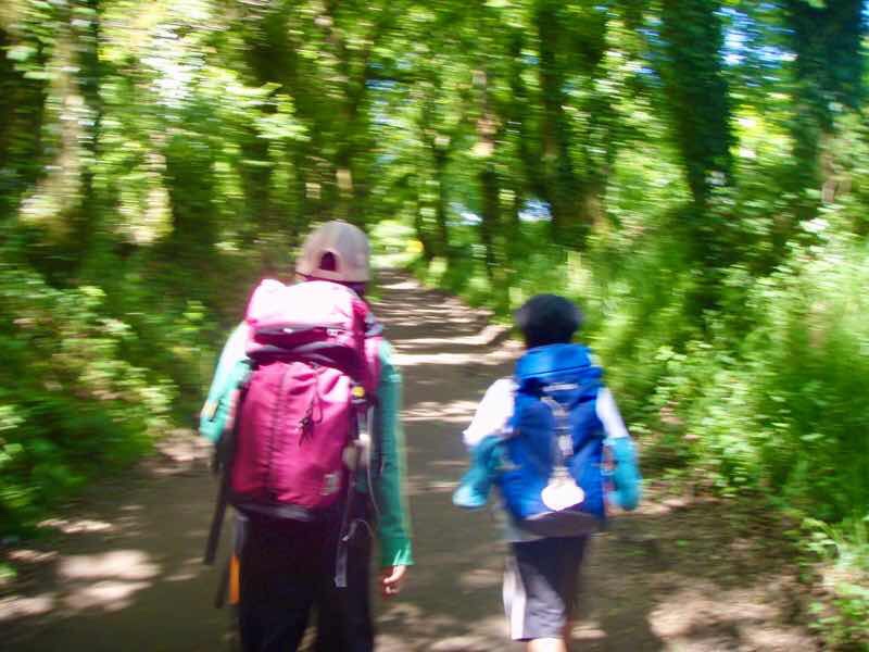 602 Camino カミーノ パラスデレイ papas de rai 向かう 田舎道12並ぶ森