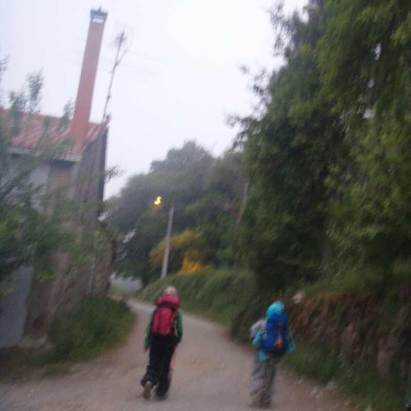 603 カミーノ リバディソ・デ・バイソ 朝もや 田舎道 12