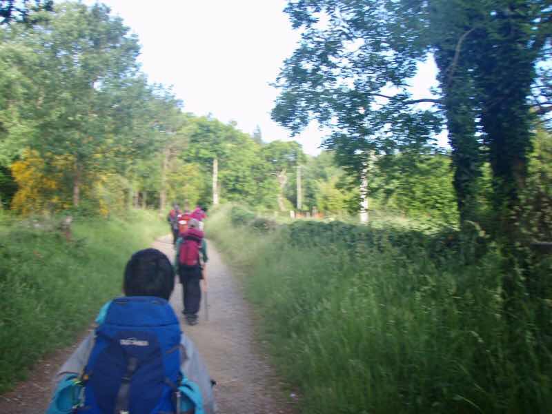 603 カミーノ リバディソ・デ・バイソ 田舎道 縦一列12sn