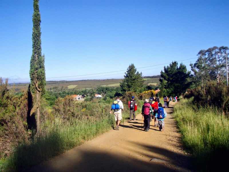 603 カミーノ リバディソ・デ・バイソ 田舎道 ひとだらけ12