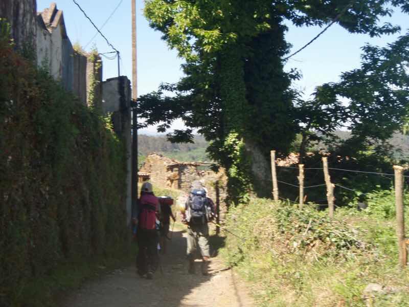 603 カミーノ リバディソ・デ・バイソ 田舎道牧場12sn