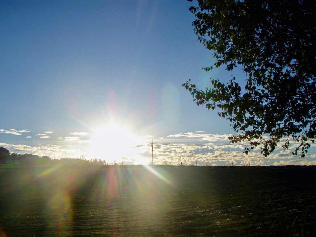 603 カミーノ リバディソ・デ・バイソ アルベルゲ 夕焼けはじめ