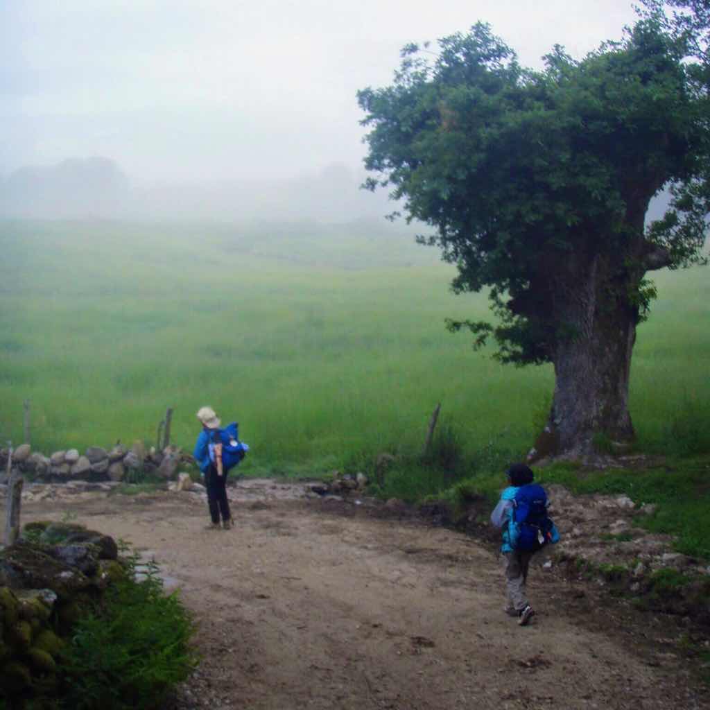 601 カミーノ caminoポルトマリンportmarin 夜明け道23