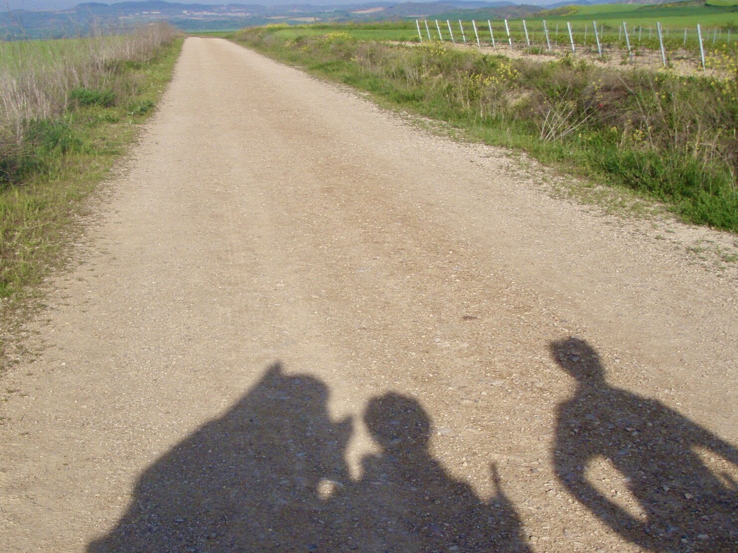 426 スペイン旅 子どもと一緒 トレス・デル・リオ サンティアゴ巡礼 道に影