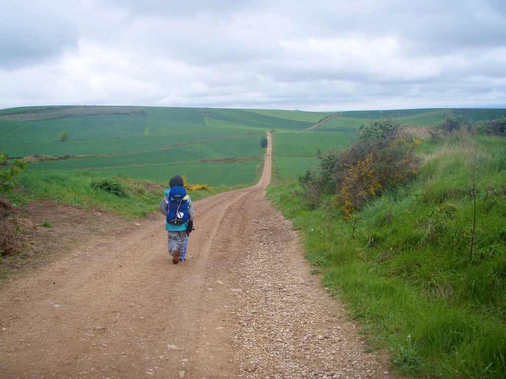 501 スペイン巡礼　カミーノ　子連れ海外　サント・ドミンゴ・デ・ラ・カルサーダ　一本道田舎道2