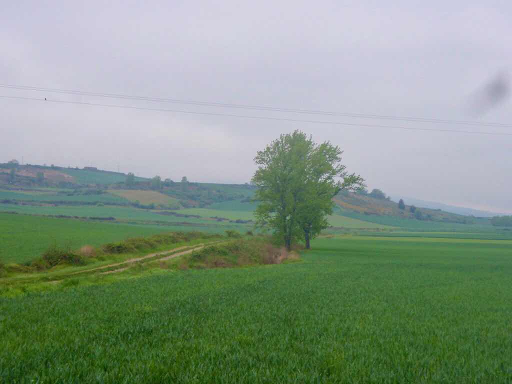 502 スペイン　サンティアゴ巡礼　景色レシデージャ・デル・ カミーノ