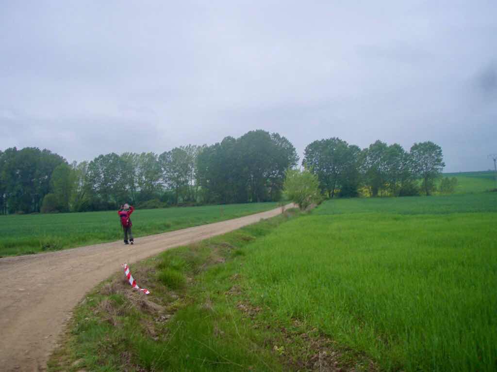 502 スペイン　サンティアゴ巡礼　景色　田舎道1 レシデージャ・デル・ カミーノ