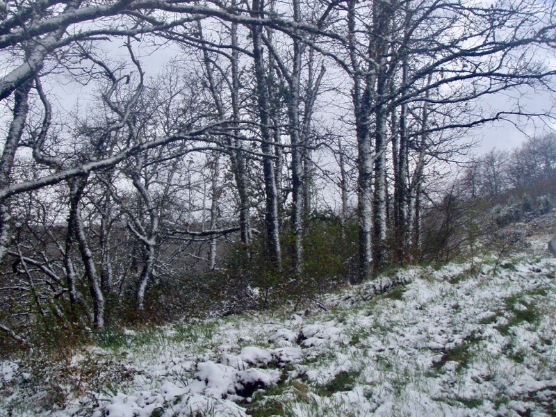 504 camino Spain pilgrim サンティアゴ巡礼子連れ　教会504 camino Spain pilgrim サンティアゴ巡礼　子連れ　雪景色オルテガ