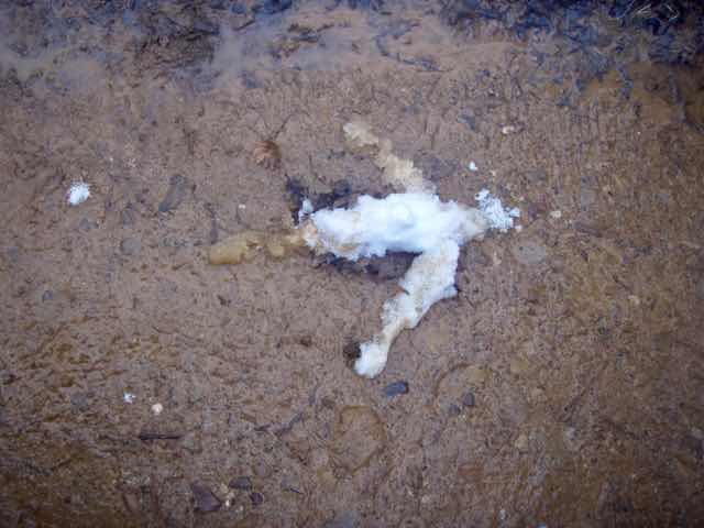 504 camino Spain pilgrim サンティアゴ巡礼子連れ　教会504 camino Spain pilgrim サンティアゴ巡礼　子連れ　雪道　矢印　オルテガ