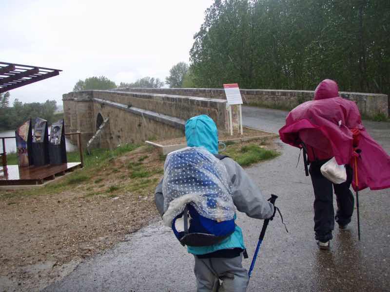 509 camino 橋　カスティージャ12