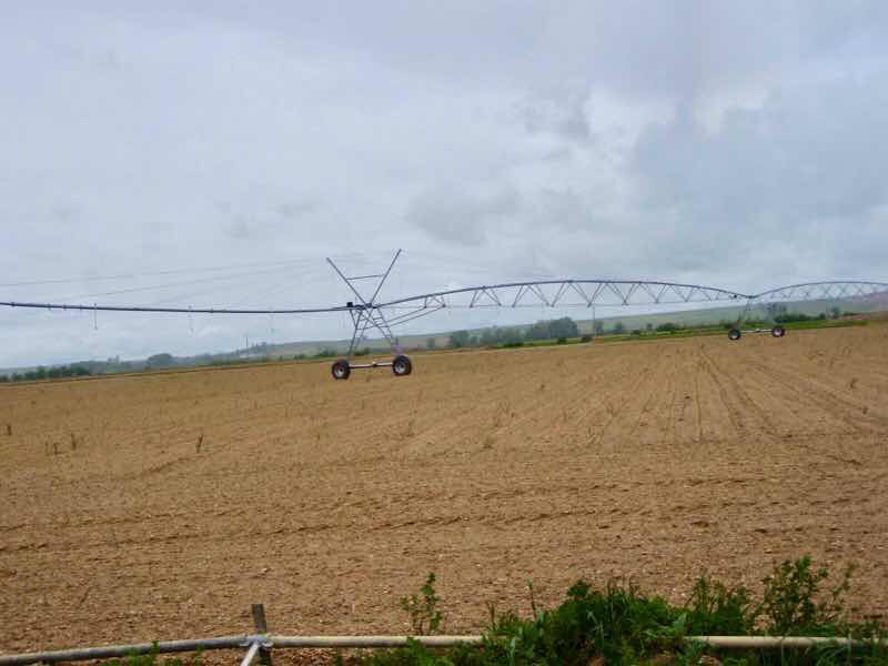 509 camino スプリンクラー　カスティージャ