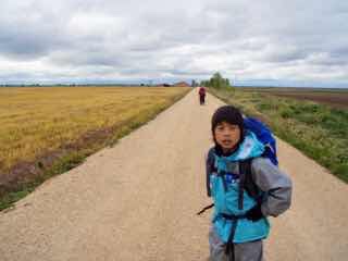 512 caminoサンティアゴ巡礼　一本道 17km 12