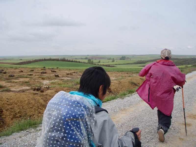 513 サアグーン　サンティアゴ巡礼　田舎道沿い12