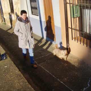 514 スペイン巡礼 camino 犬散歩