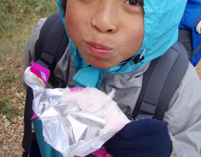 514 スペイン巡礼　camino 綿菓子