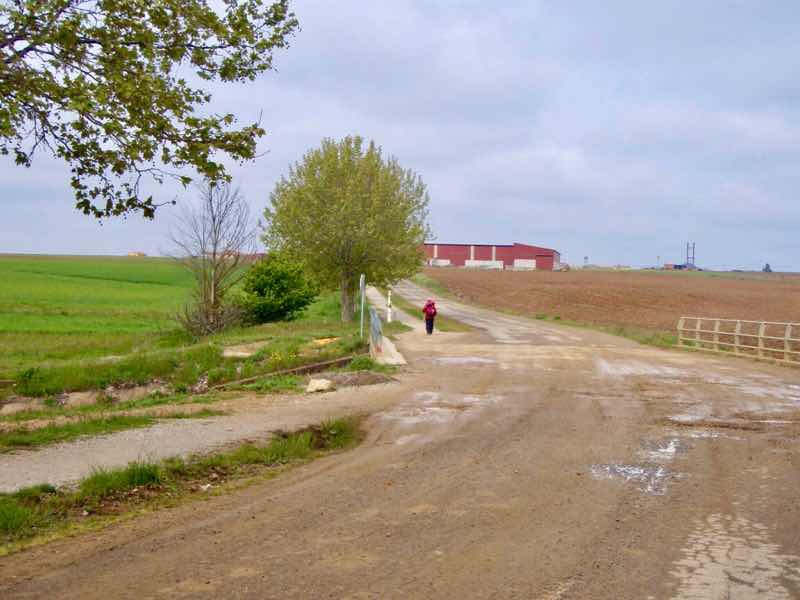 514 スペイン巡礼　camino サンティアゴ田舎道1
