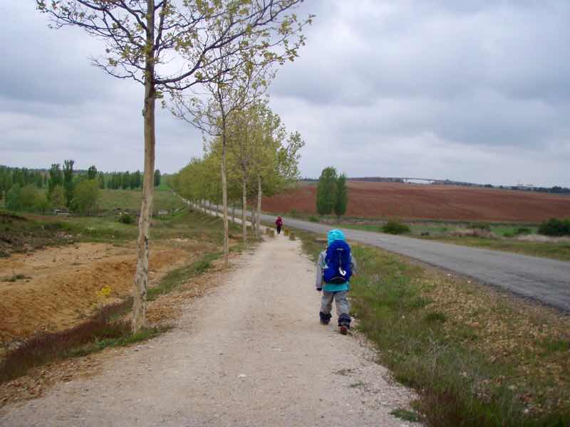 514 スペイン巡礼　camino サンティアゴ田舎道12