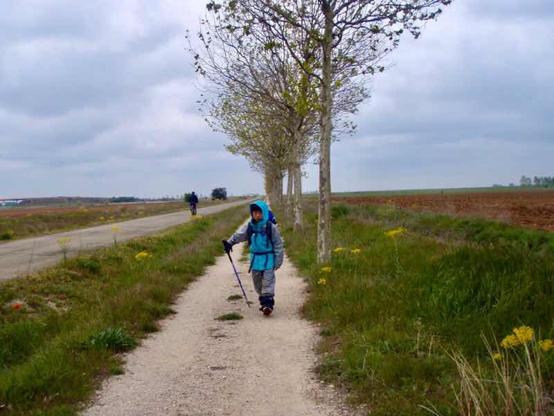 514 スペイン巡礼　camino サンティアゴ田舎道2