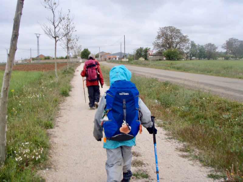 514 スペイン巡礼　camino サンティアゴ田舎道　一列12
