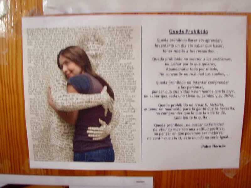 515 サンティアゴ巡礼　スペイン　camino アルベルゲ　Luffy ポスター