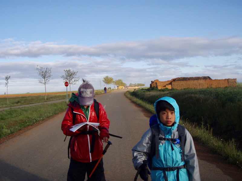 515 サンティアゴ巡礼　スペイン　camino 一本道　並木1ノート2
