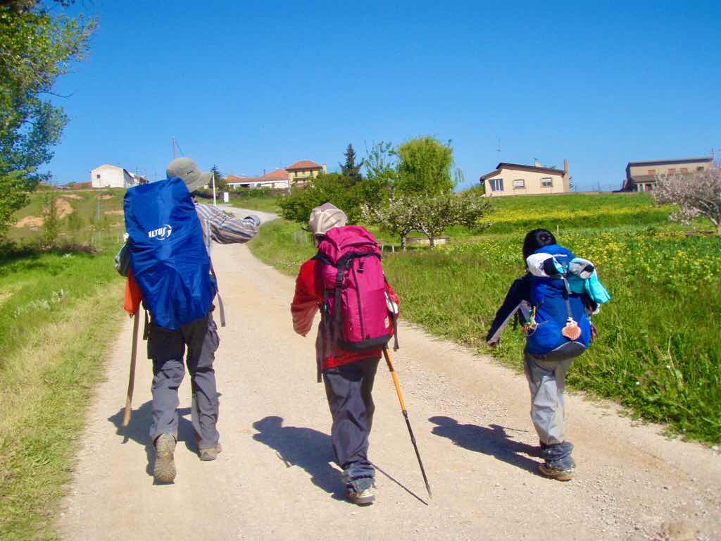516 レオン スペインコウノトリ 巡礼 田舎道 camino