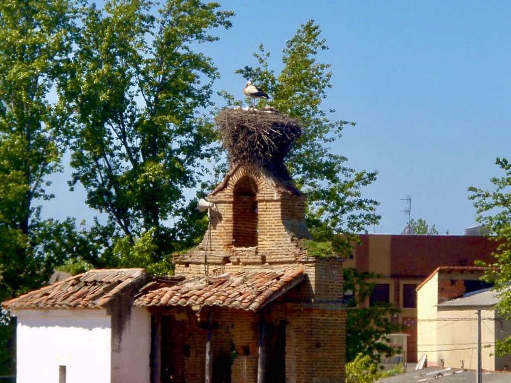 516 レオン スペインコウノトリ 巡礼 camino 建