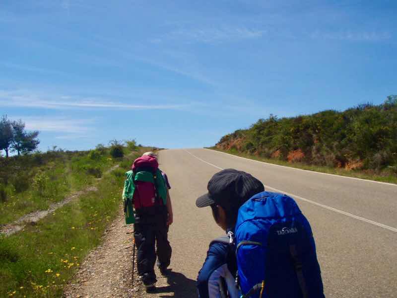 518 スペイン巡礼　camino dog マザリフェ田舎道　1 2アップ後ろ