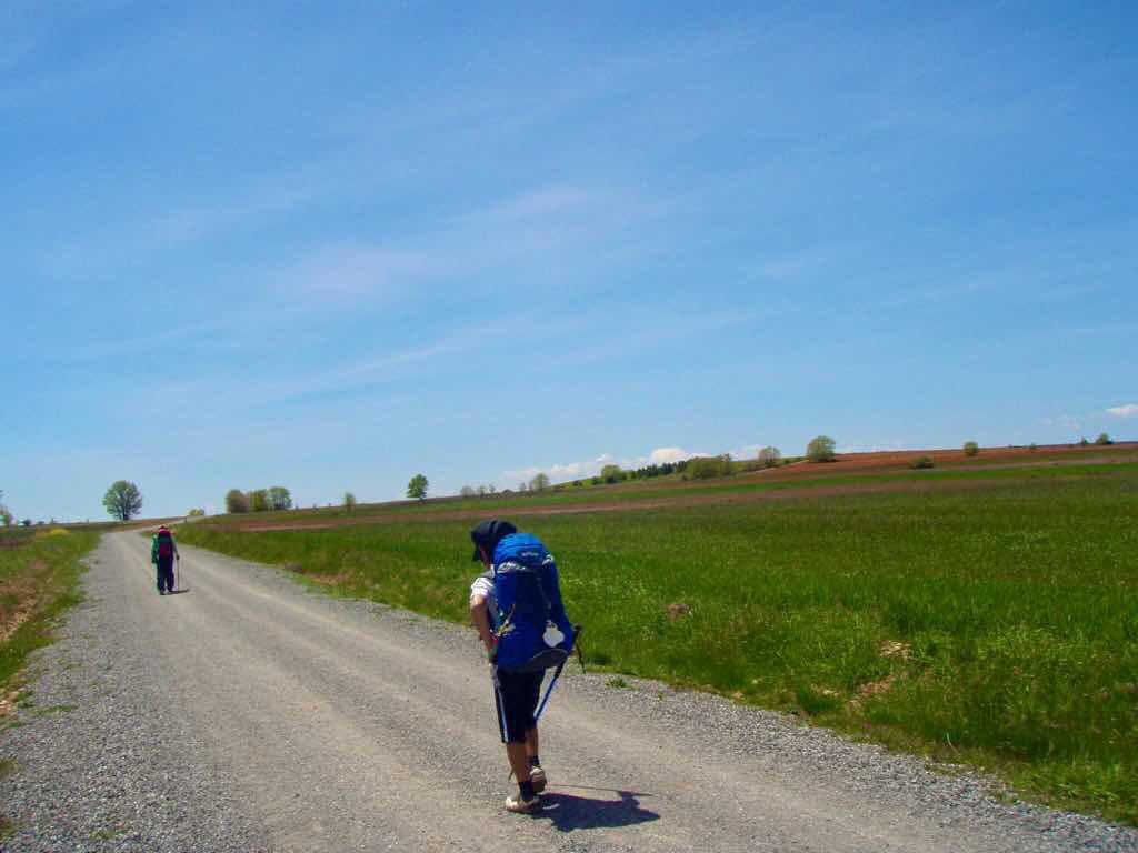 518 スペイン巡礼　camino dog マザリフェ田舎道　まっすぐ13