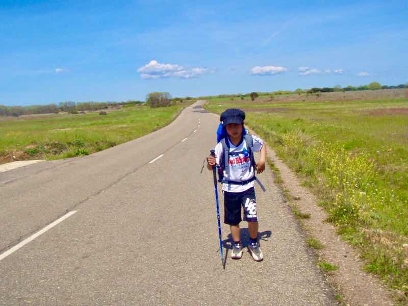 518 スペイン巡礼　camino dog マザリフェ田舎道　まっすぐ2