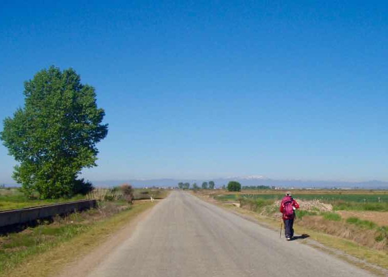519 スペイン巡礼　camino マザリフェ　田舎道1