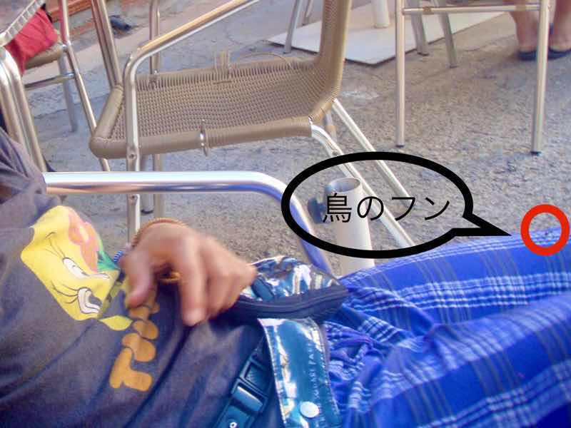 521 カミーノ　鳥のふん　スペイン巡礼