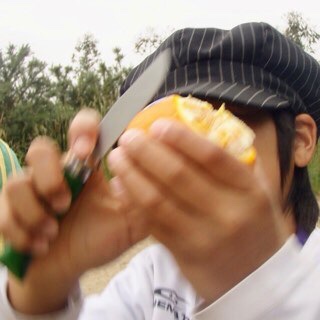 605スペイン巡礼　オレンジ5 サンティアゴ Santiago