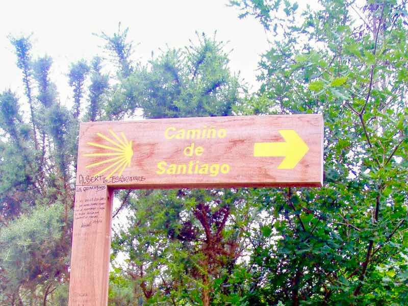 605スペイン巡礼 サンティアゴ Santiago 街 木文字看板のみ