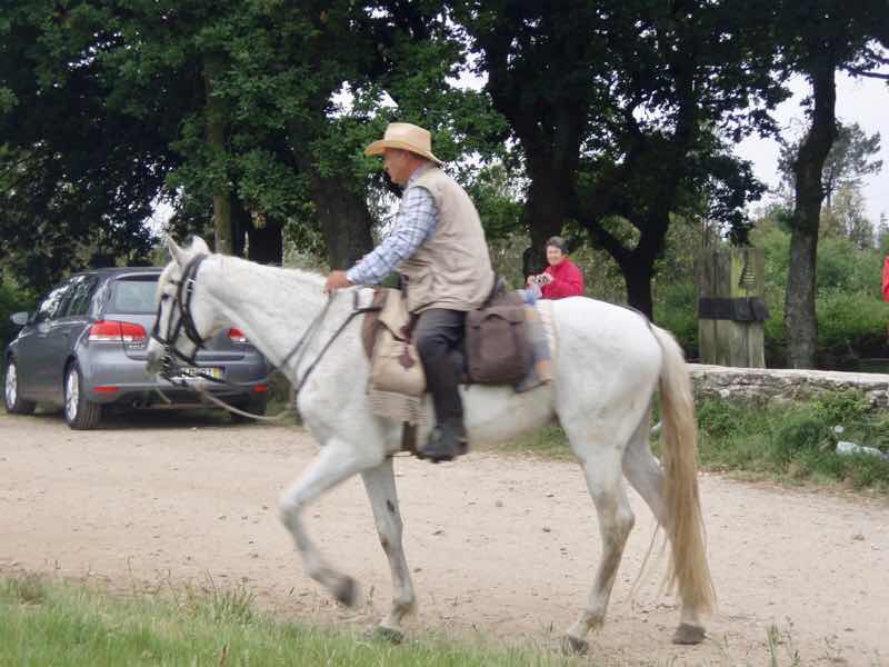 605スペイン巡礼　馬　サンティアゴ Santiago