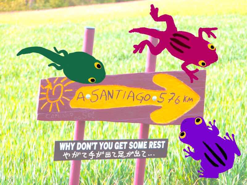 508 子連れ海外　子ども大人　かえる カミーノ