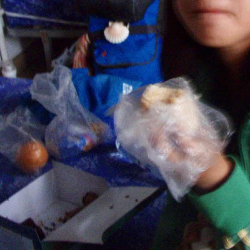 607サンティアゴ巡礼　宿　神学校　朝食