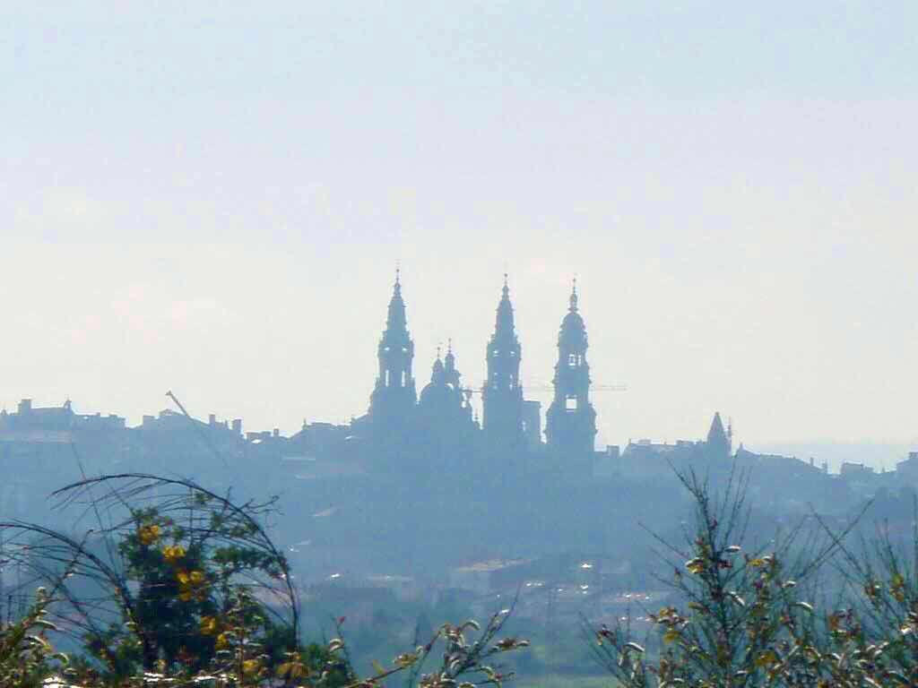 607サンティアゴ巡礼　サンティアゴ大聖堂　遠く1　カミーノ