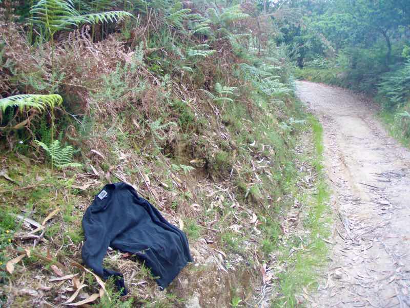 607サンティアゴ巡礼 ネグレイラ田舎道 シャツ カミーノ