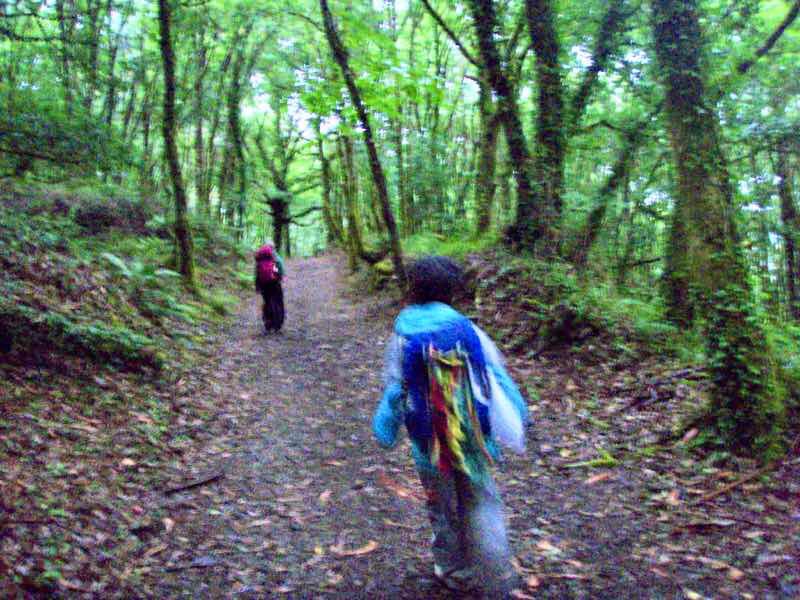 608サンティアゴ巡礼　道　雨田舎道土　12カミーノ　アス・マロナス
