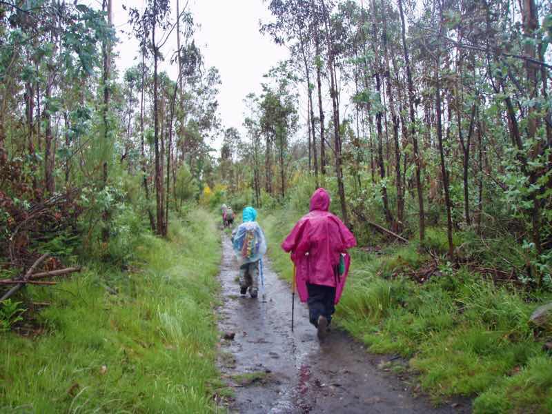 608サンティアゴ巡礼　道　雨田舎一本道土12　カミーノ　アス・マロナス