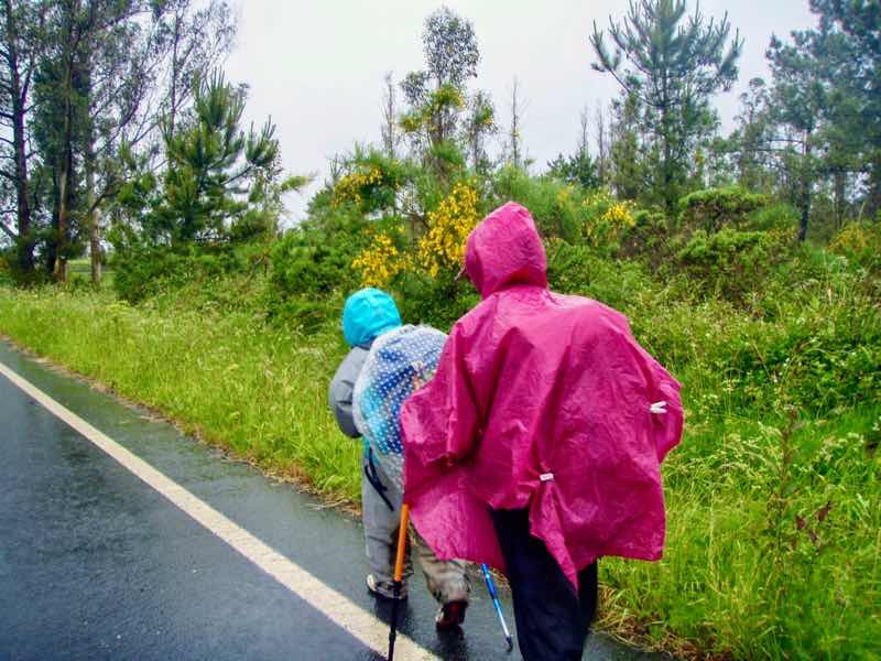 608サンティアゴ巡礼　道雨アスファルト12 カミーノ　アス・マロナス