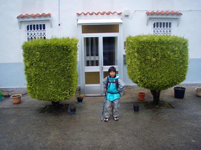 608サンティアゴ巡礼　道　植木四角　カミーノ　アス・マロナス